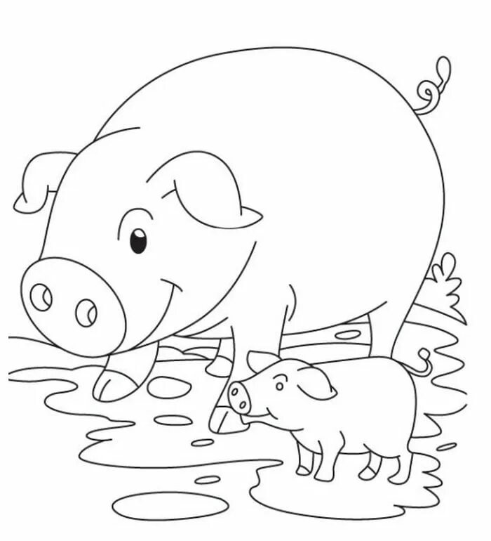Pig coloring
