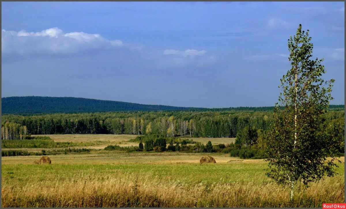 Родные перелески. Холмы перелески Луга. Природа России холмы перелески Луга. Родная земля холмы перелески Луга. Деревня перелесок Тверская область.