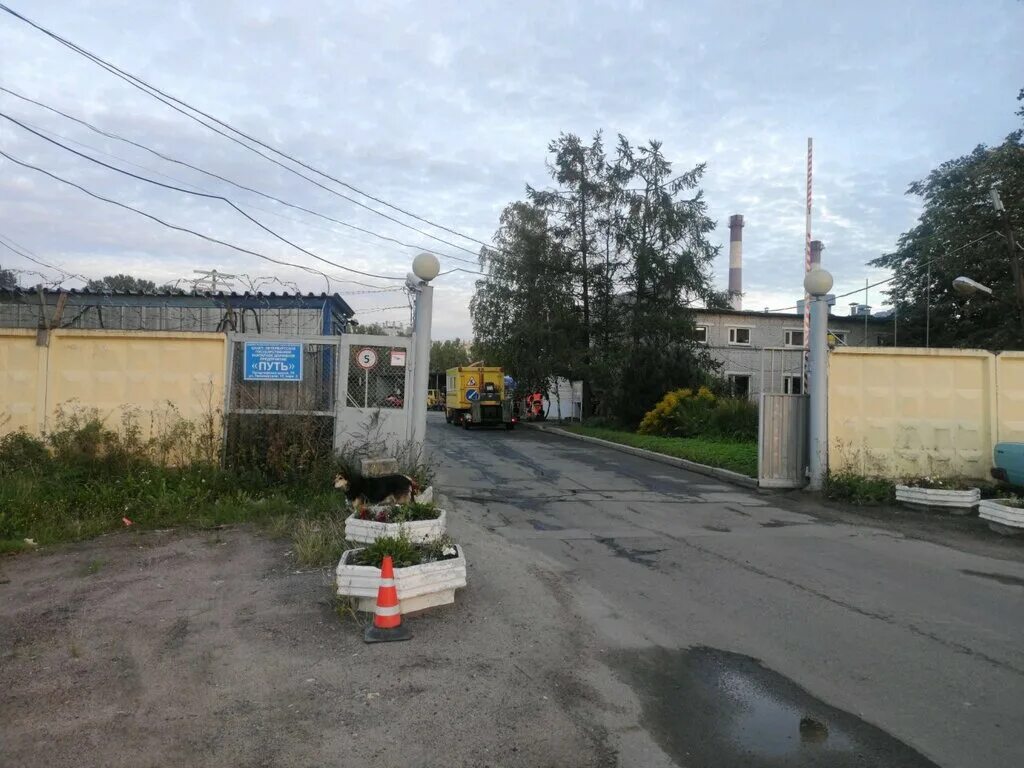 гудп центр. дорожное предприятие центр санкт-петербургское государственное. фрунзенская автоколонна. техника гудп центр. санкт петербургское государственное унитарное дорожное предприятие.