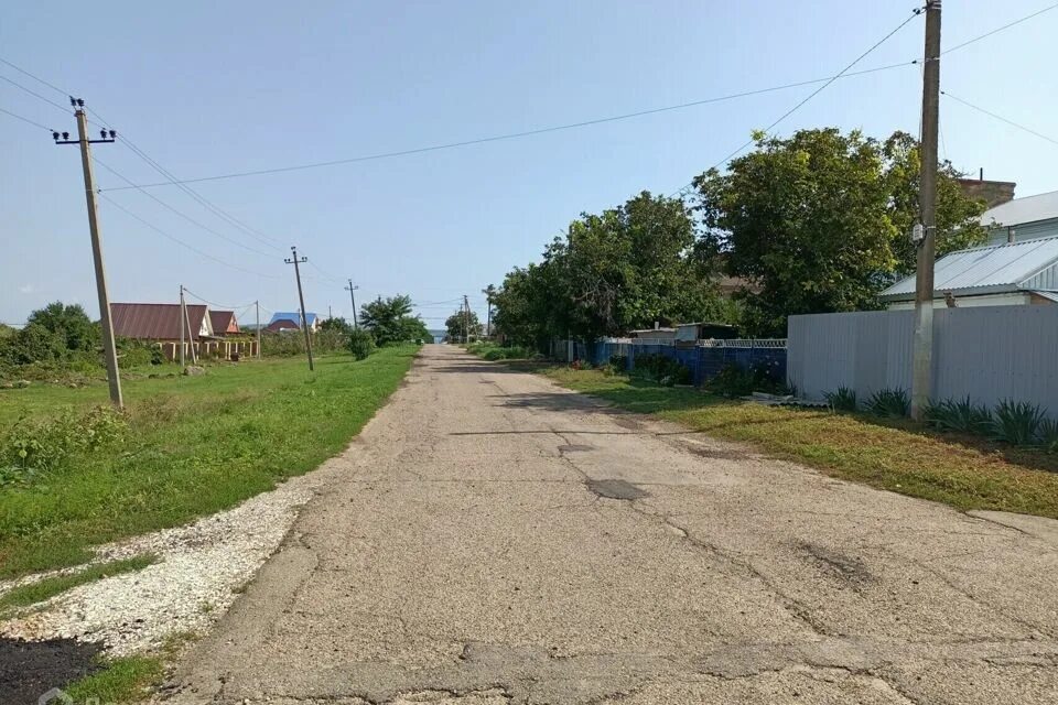 Виноградники тамани. Виноградный темрюкский. Виноградный темрюкский. Станица вышестеблиевская ленина 16 а. Виноградный темрюкский.