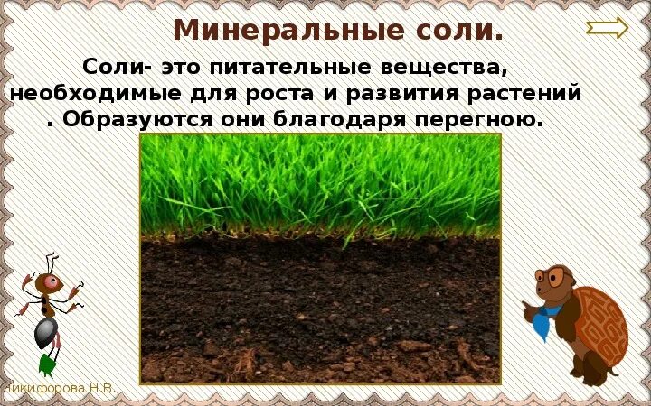 Состав почвы 3 класс окружающий мир рабочая. Почва окружающий мир. почва это 3 класс окружающий мир. что такое почва 3 класс. почва окружающий мир задания.