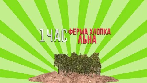Ферма хлопка аризона
