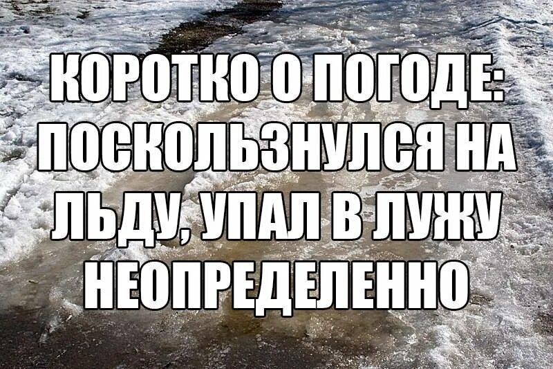 Приколы про погоду. Коротко о погоде прикол. Смешные цитаты про погоду. Статусы про погоду. Погоду про погоду погода плохая погода