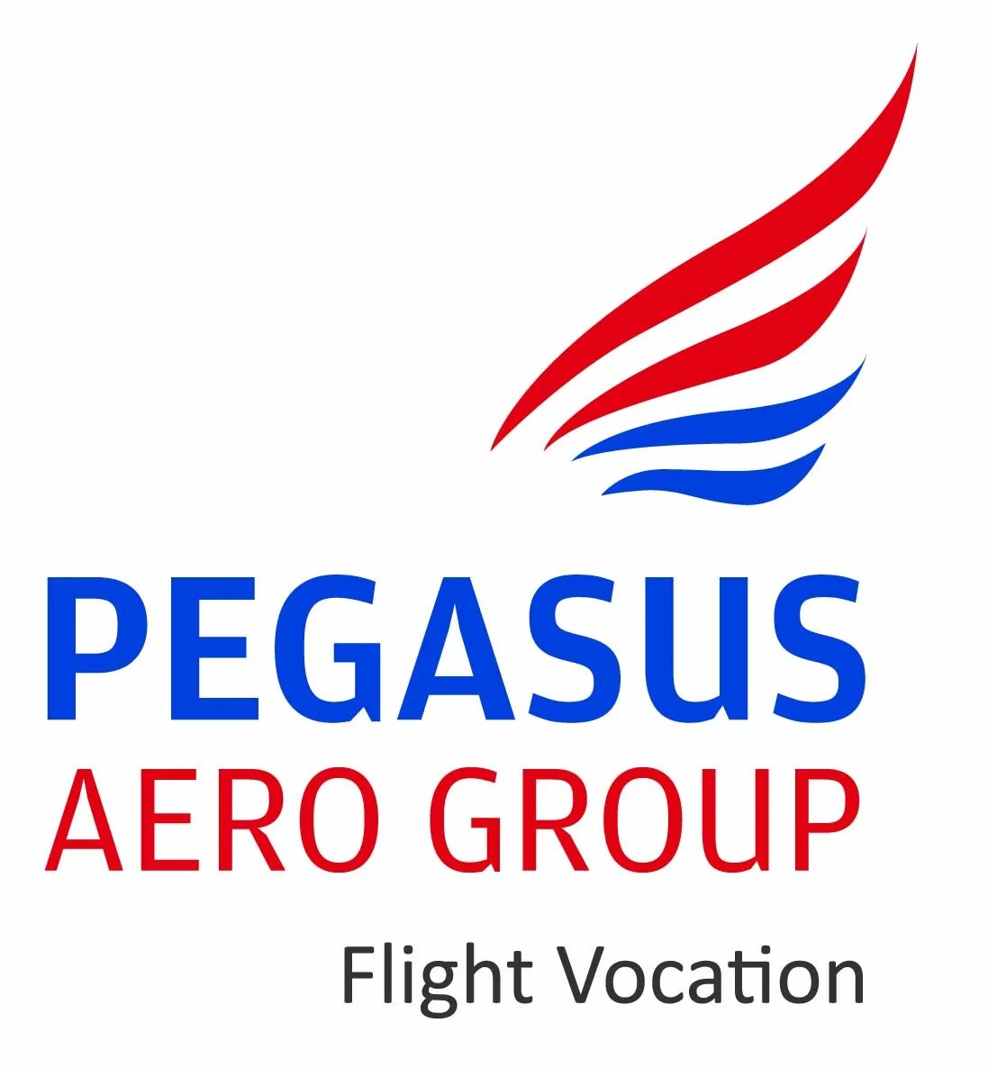 Aero.Pegasus. Pegas Аэро. TGS Group Aero школа. Pegasus etri. Aero group