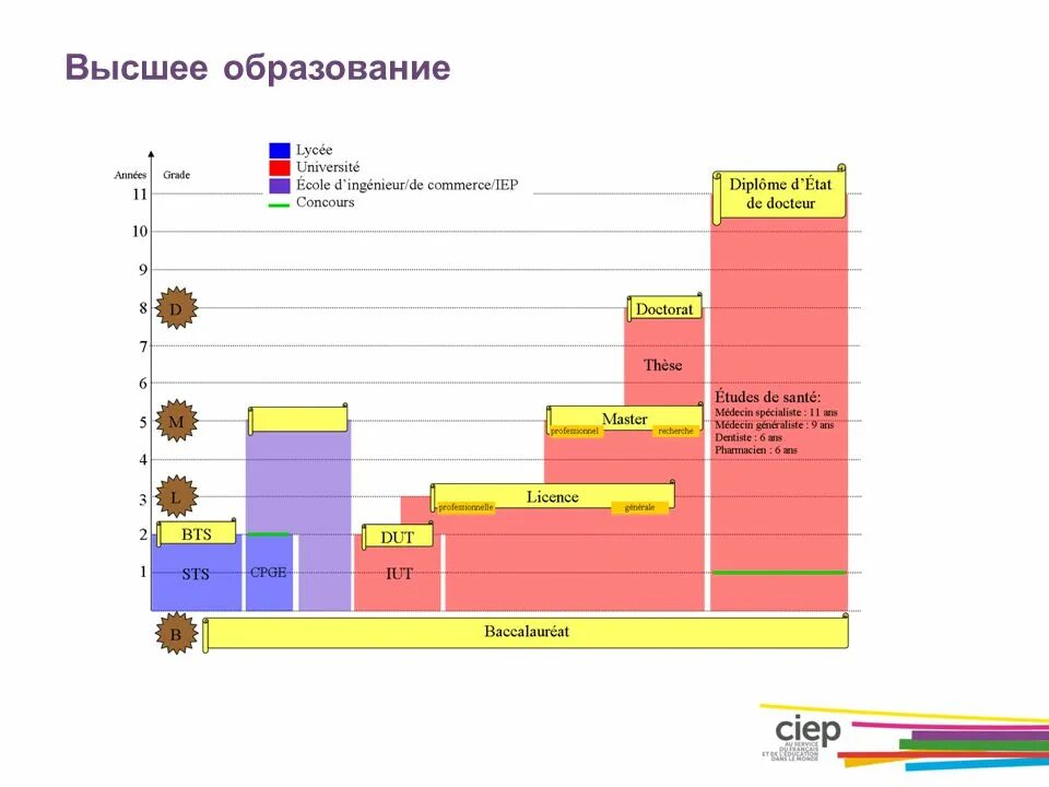 Образовательная система франции. Система образования во франции схема. ступени образования во франции. школьная система во франции таблица.
