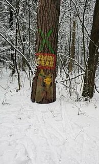 Хлебниковский лесопарк