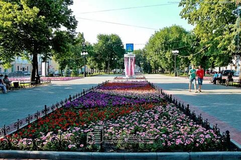 Иваново в цвету