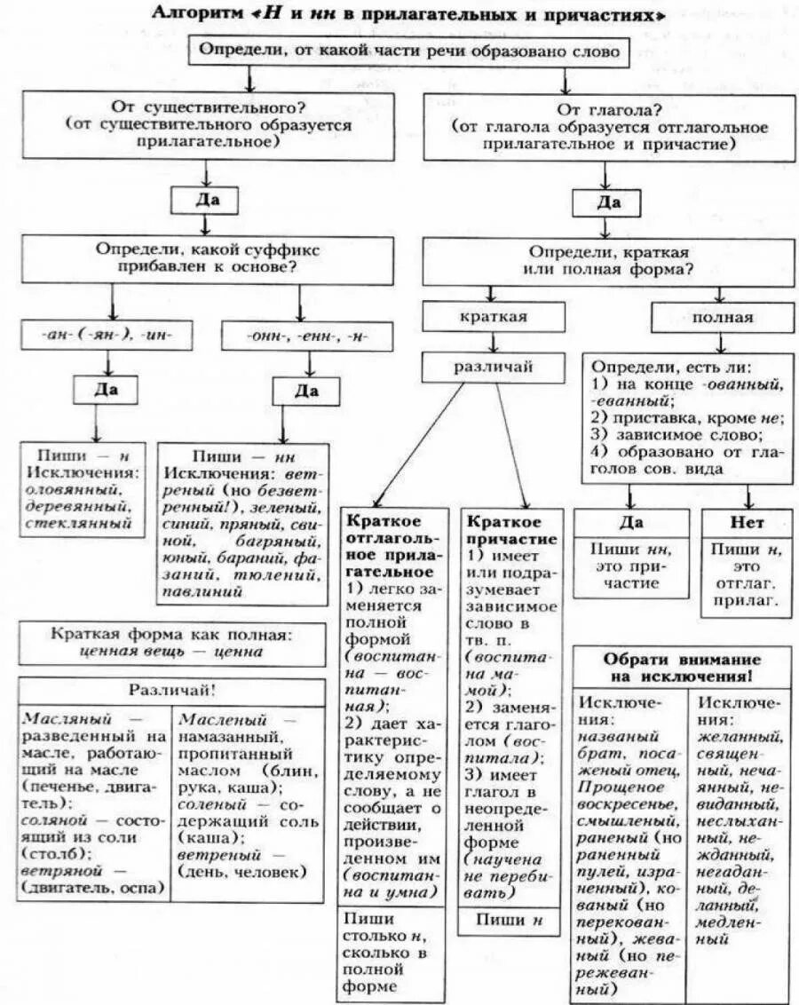 Н и нн в частях речи. Правописание н и нн в разных частях речи таблица егэ. правописание буквы н и нн во всех частях речи. алгоритм написания н и нн в разных частях речи. схема правописание н и нн в разных частях речи.