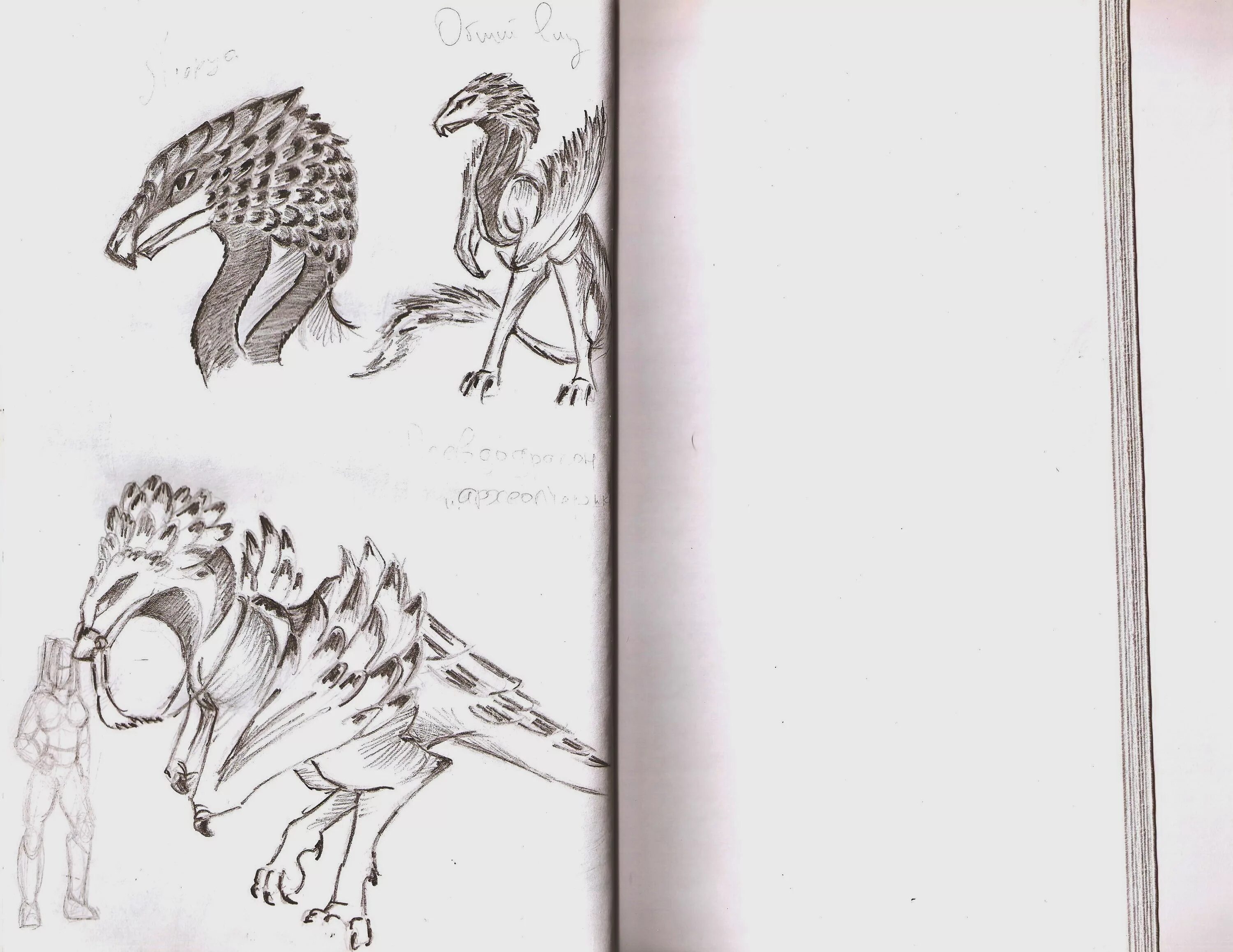 срисовки для скетчбука животное. срисовки для скетчбука животное. идеи для рисования милые. срисовки для скетчбука животное. рисунки для скетчбукаживотные.