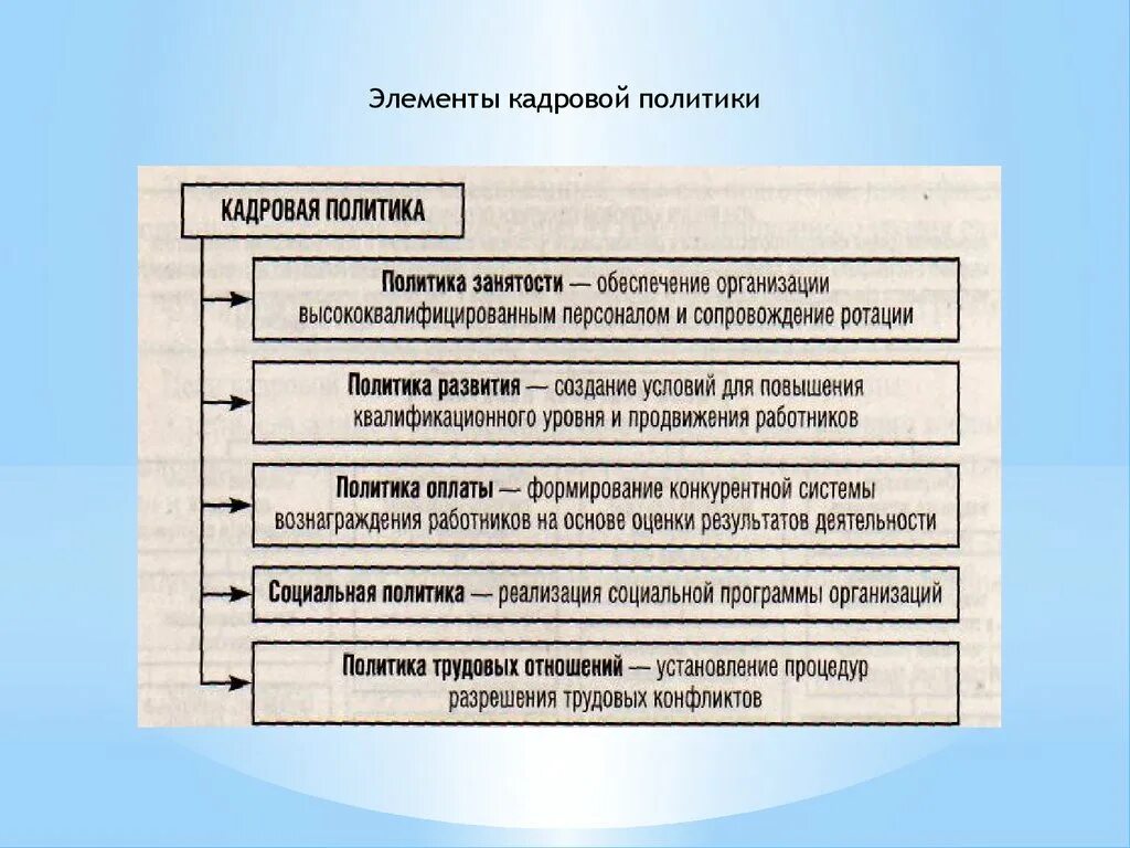 Что является политикой организации. Элементы кадровой политики. Основные элементы кадровой политики организации. Составляющие элементы кадровой политики. Элементы кадровой стратегии.