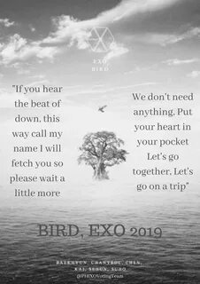 “Have you read the English translation of EXO's BIRD lyrics? &#...