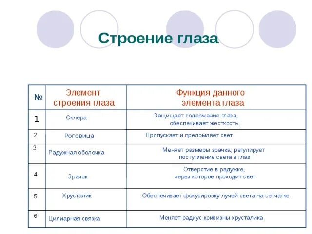 Функции элементов глаза. Строение и функции глаза таблица. Строение глазного яблока таблица. Таблица оболочки глаза строение и функции. Системы части глаза строение функции.