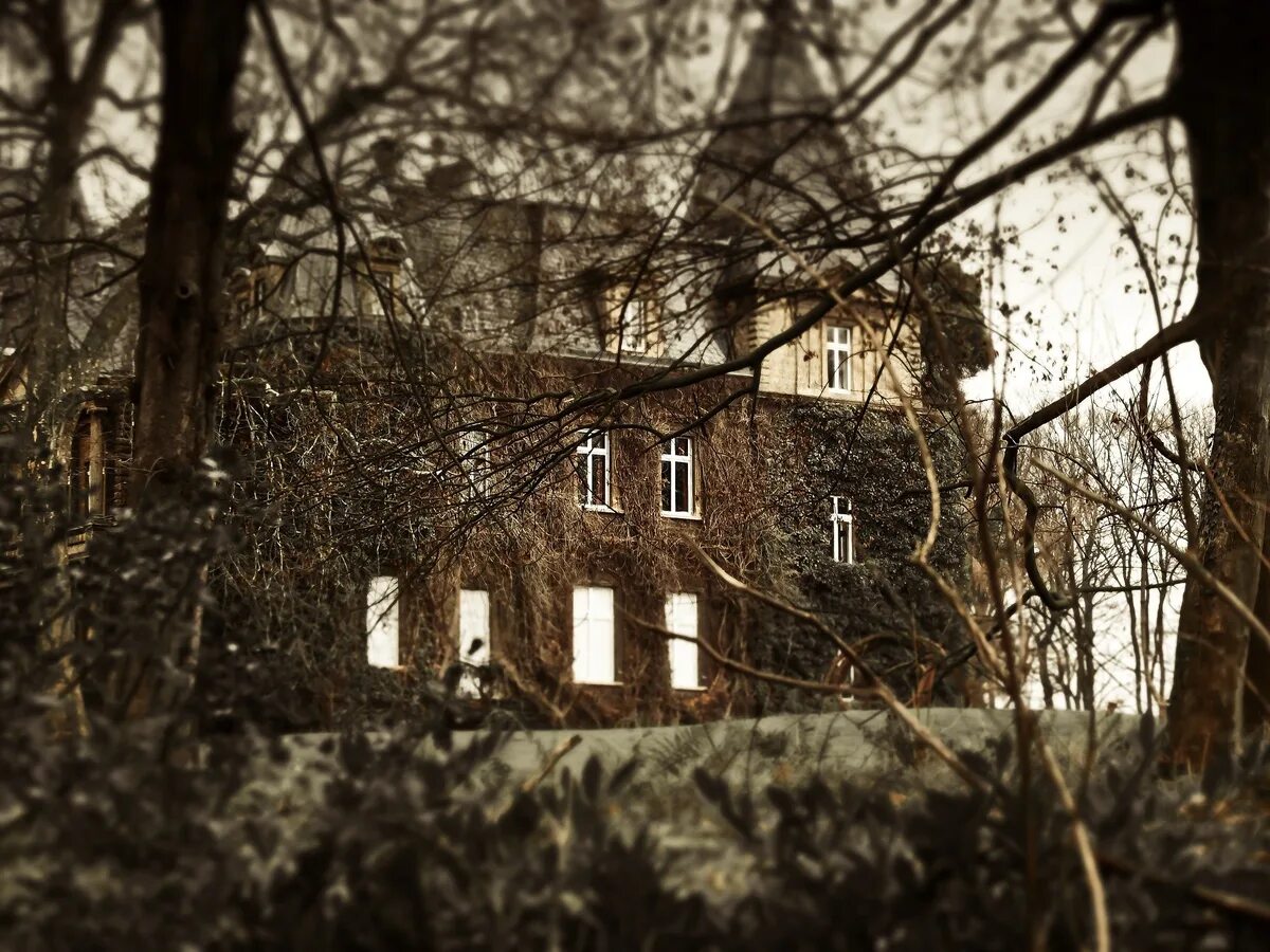 Старый обширный тянувшийся позади дома сад выходивший. Дом с привидениями. Страшный дом. Дом с привидениями настоящий.