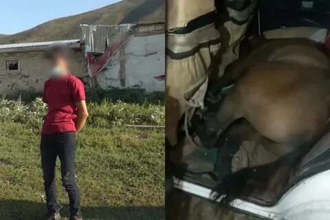 Украла лошадь