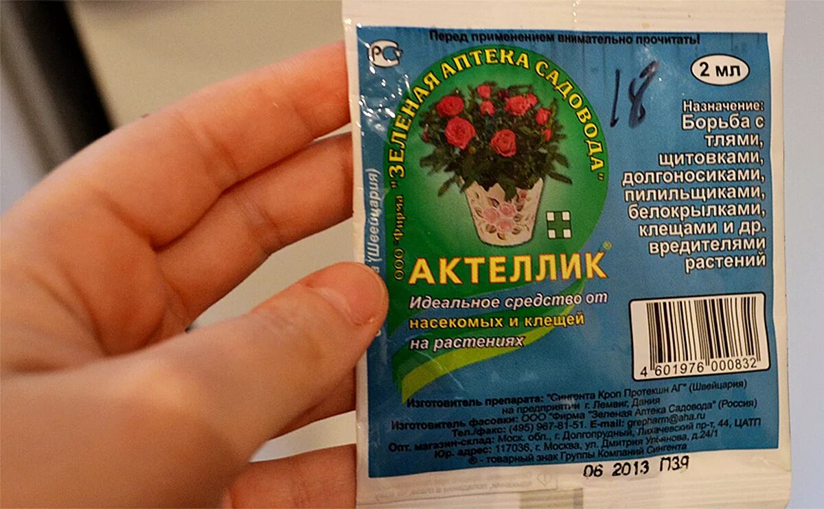 Средство против долгоносика на клубнике. Средство против долгоносика на клубнике. Биопрепарат для клубники. Земляничный долгоносик на клубнике. Средство против долгоносика на клубнике.
