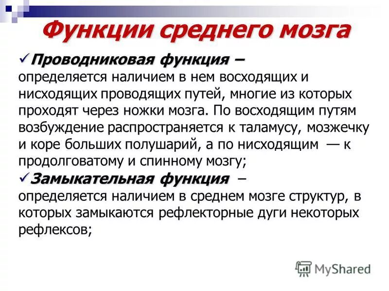 Головной мозг выполняет проводниковую функцию. Проводниковая функция среднего мозга. средний мозг функции. средний мозг проводниковая функция. рефлекторная функция среднего мозга.