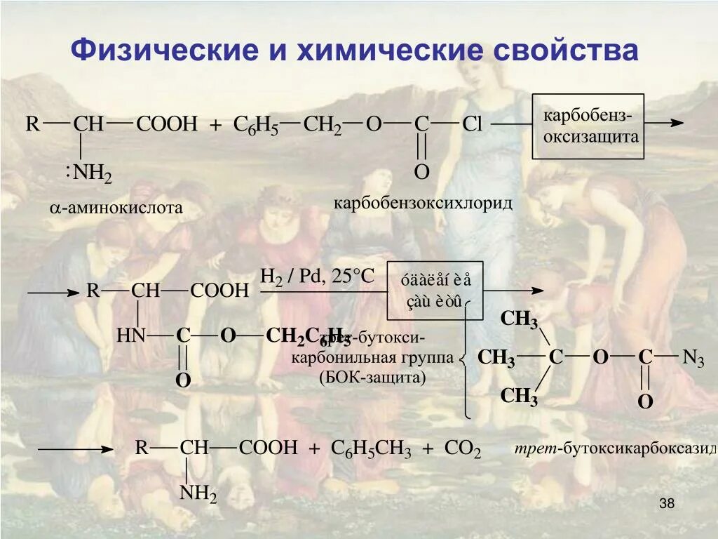 Взаимодействие 2 аминокислот. Физические свойства аминокислот. Физически и химической аминокислот. С чем взаимодействует аланин. Химические свойства аминокислот.