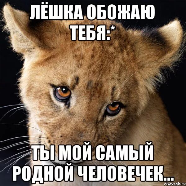 Люблю тебя самую хорошую самую родную. Лешка. люблю тебя лешка. я скучаю по тебе лешенька. любимый лешка.