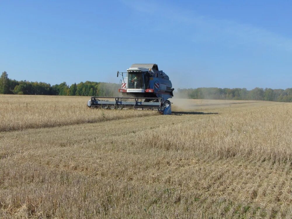 спк центральный