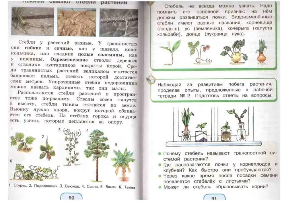 Окружающий мир 3 класс учебник иванов. Учебник по окружающему миру 3 класс. Окружающий мир 3 класс 2 часть. Окружающий мир 3 класс учебник 2 часть Поглазова. Окружающий мир 3 класс учебник Поглазова.