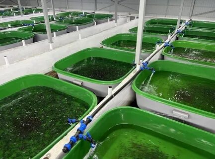 Управление водными биологическими ресурсами