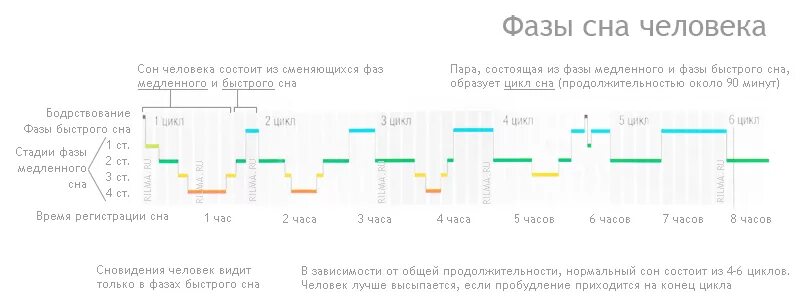 Сколько часов должен длиться сон человека. Фазы быстрого и медленного сна таблица. Фазы и циклы сна. Стадии сна человека по времени таблица. Фазы сна циклы сна.