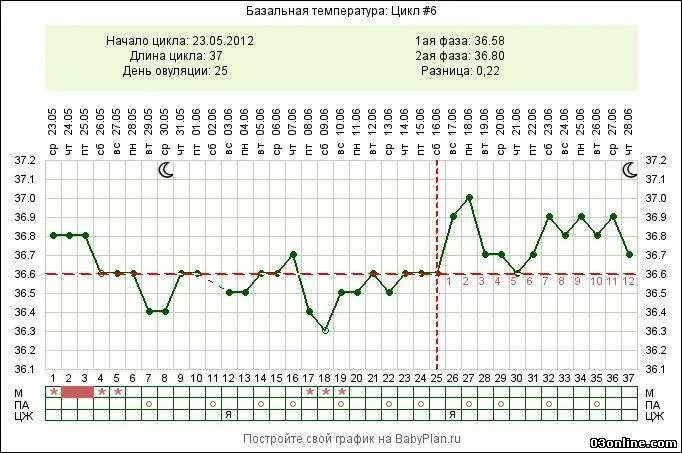 График базальной температуры с поздней овуляцией. Беременный график БТ С поздней овуляцией. График базальной температуры при однофазном цикле. Двухфазный график базальной температуры. Температура после овуляции форум