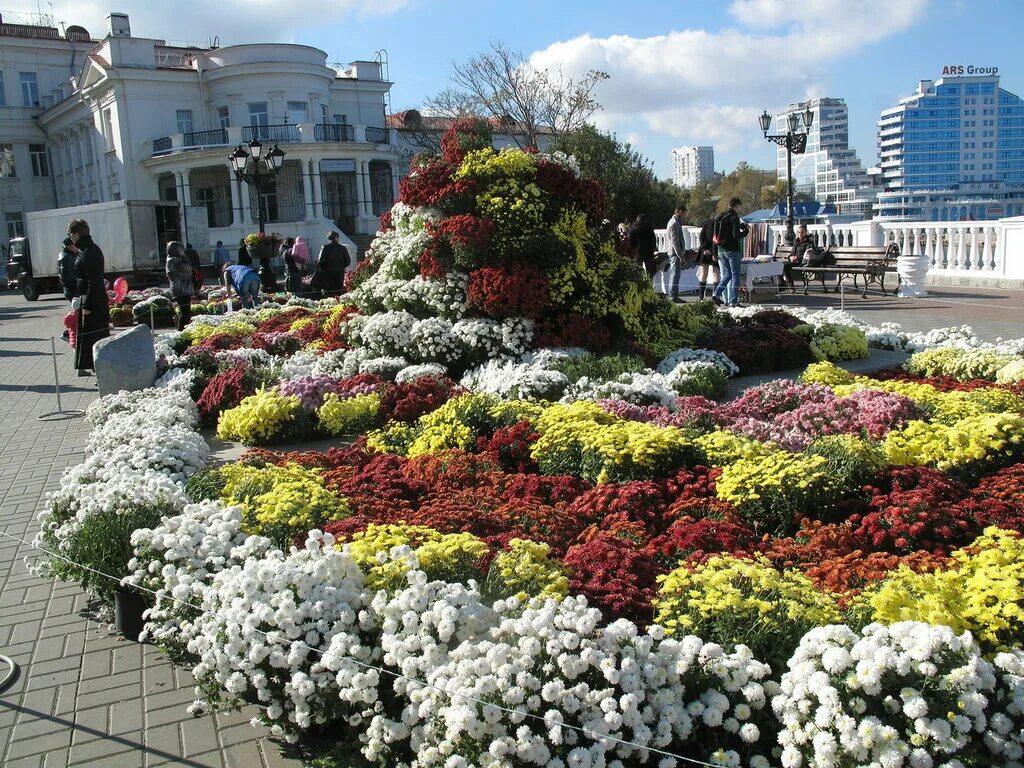 Тумбы с цветами для конкурса. Севастополь цветы на клумбах. Парк победы севастополь цветение тюльпанов. Аллея тюльпанов севастополь. Парк пятигорска цветущие тюльпаны.