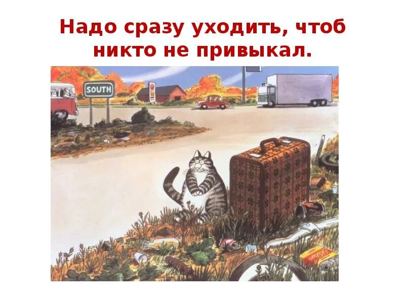 Звери надо сразу уходить. Надо сразу уходить чтоб никто не привыкал. Надо сразу уходить. Надо сразу уходить чтоб никто. Надо сразу уходить чтоб никто не привыкал картинки.