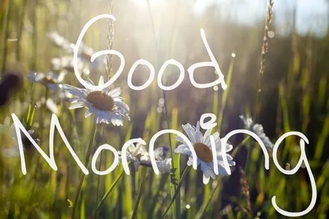 Morning картинки