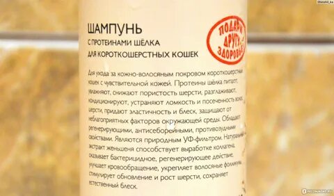 Сухой шампунь для кошек как пользоваться