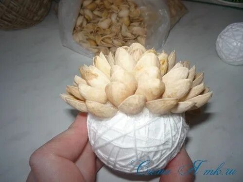 Фисташковые скорлупки