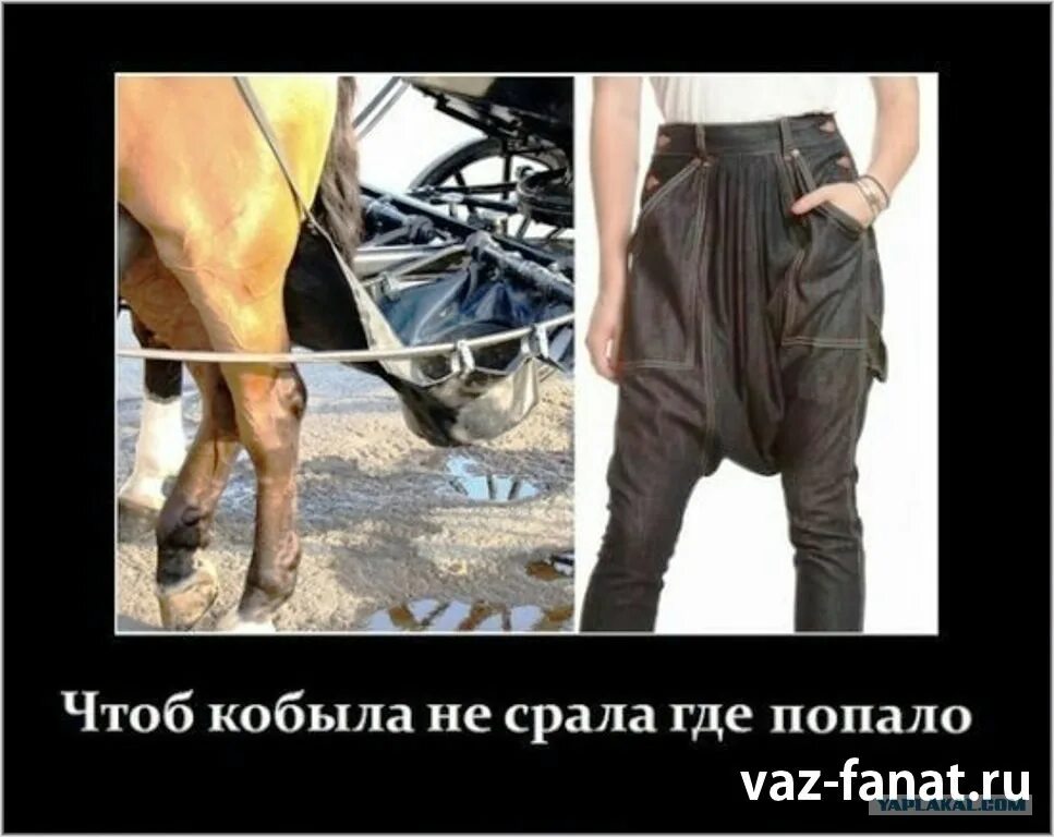 Откуда попал
