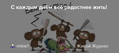 С каждым днем все радостнее