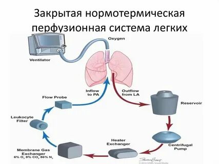 Самая легкая система