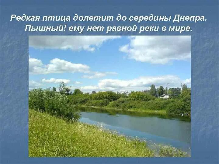 «Редкая ... Долетит до середины Днепра!». Ни одна птица не долетит до середины Днепра. Редкая птица долетит до середины Днепра рисунки. Редкая птица долетит до середины