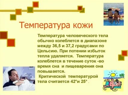 Мини сообщение о человеке