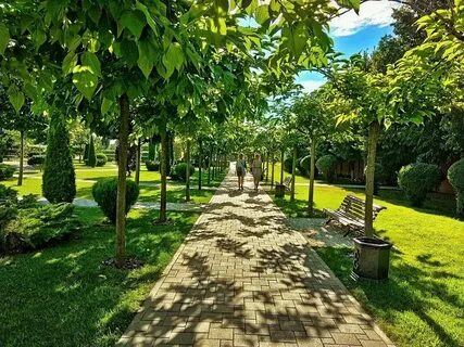 Лету краснодар