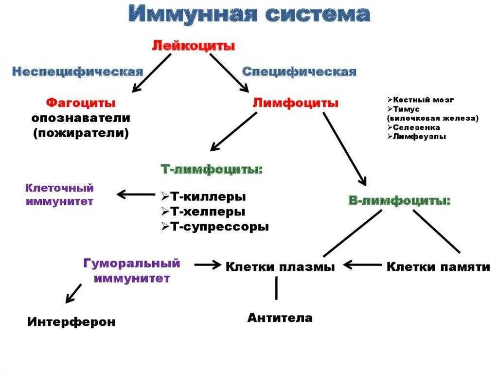 Умеренные неспецифические изменения