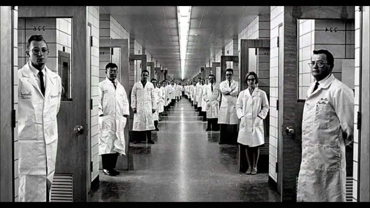 Эксперимент розенхана. Лаборатория доктора менгеле. аушвиц биркенау йозеф менгеле. йозеф менгеле эксперименты над людьми.