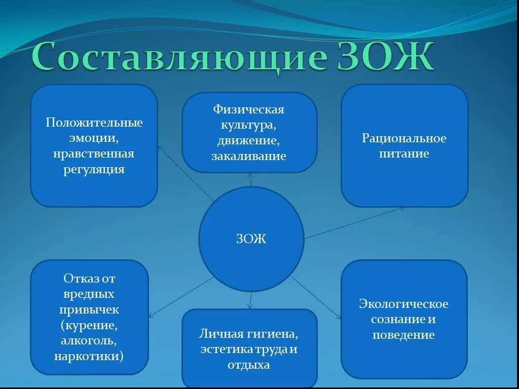 Образ жизни и его уровни. Таблица основные составляющие здорового образа жизни. Таблица ОБЖ основные составляющие здорового образа жизни. Перечислите основные составляющие здорового образа жизни. Основные составляющие здорового образа жизни ОБЖ.