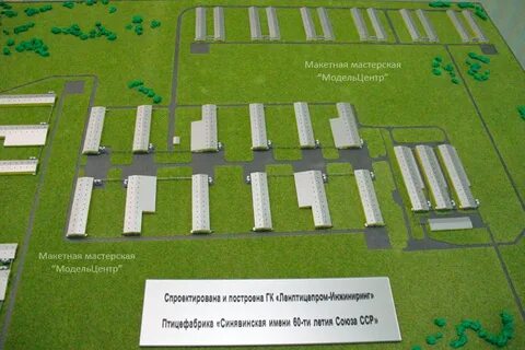 Территория птицефабрики
