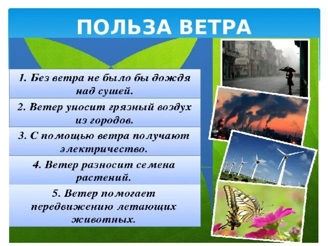 Какой вред приносит дождь окружающий мир