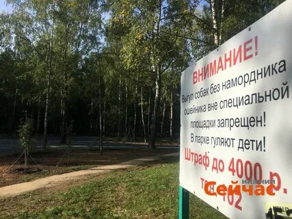 Пушкина нижний новгород