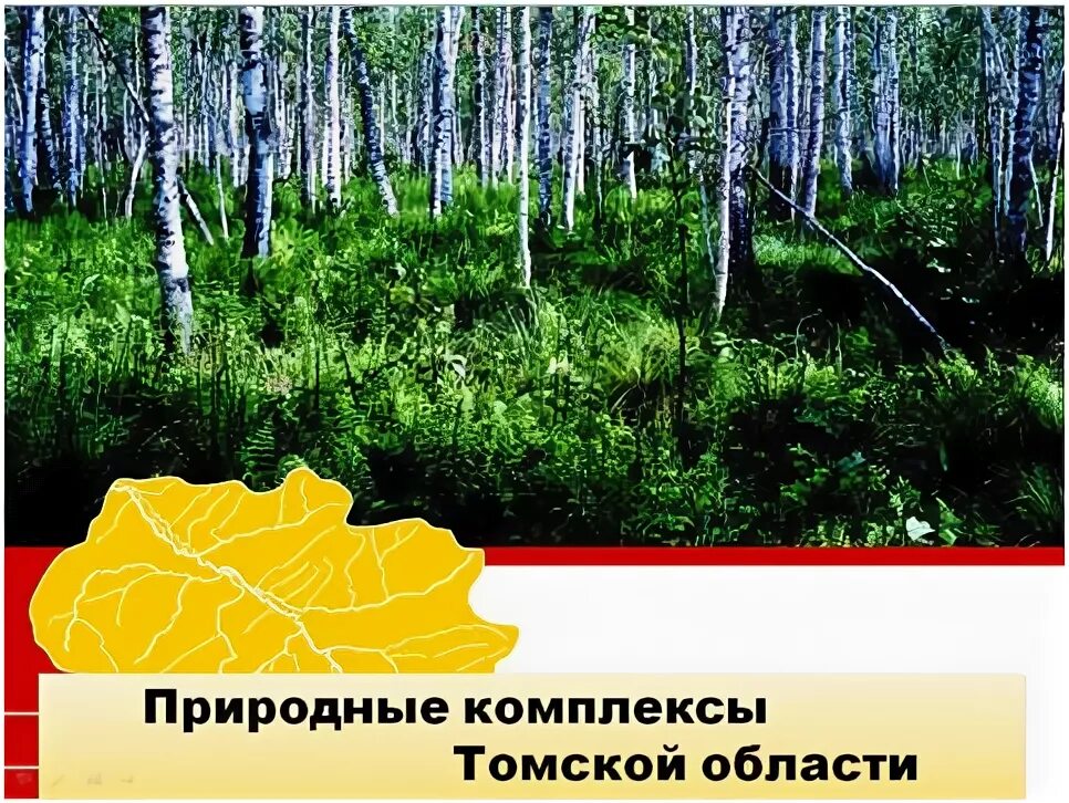 Чем меньше природный комплекс тем он. Природные комплексы Томской области. Природные зоны Томской области. Природный комплекс Томской области 6 класс география. Занимательные уроки по географии Томской области.