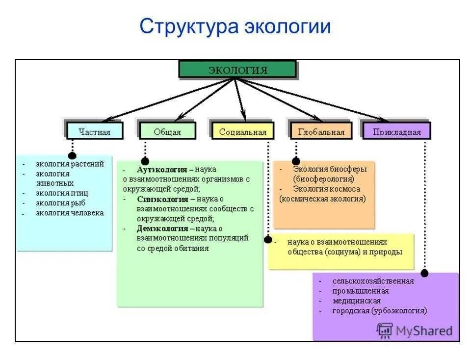 Составьте схему структура современной экологии. Структуры состава экологии. Структура содержания современной экологии схема. Основные структурные разделы экологии. Метод отдельных направлений