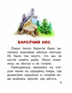 Нос барсука рассказ