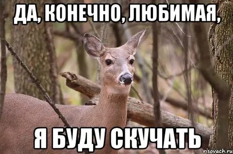Конечно буду скучать
