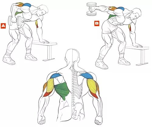 Как быстро накачать гантелями. Как качать трицепс гантелей. Упражнения с гантелями на бицепс и трицепс. Упражнения для накачивания трицепса. Упражнения с гантелями на трицепс в домашних.