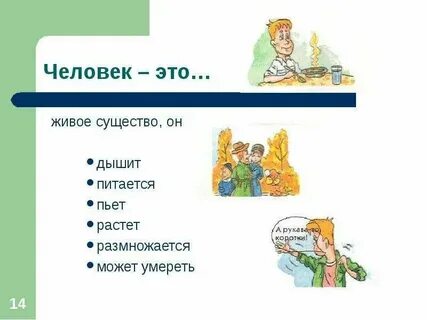 Как называют любой предмет любое живое существо